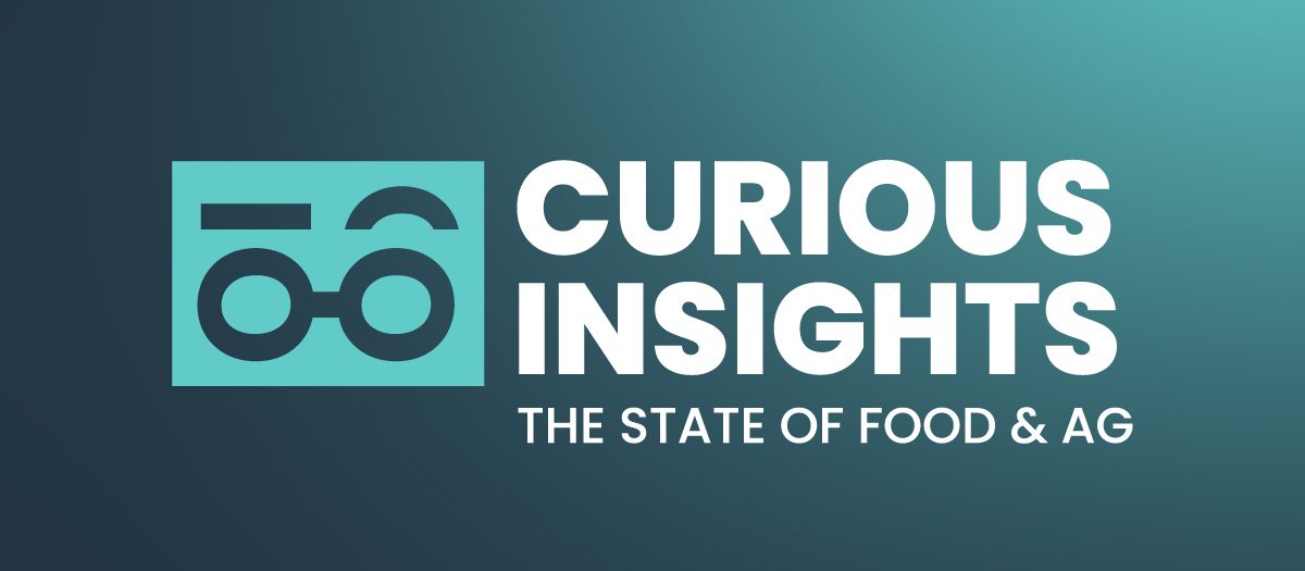Curious Insights Blogs