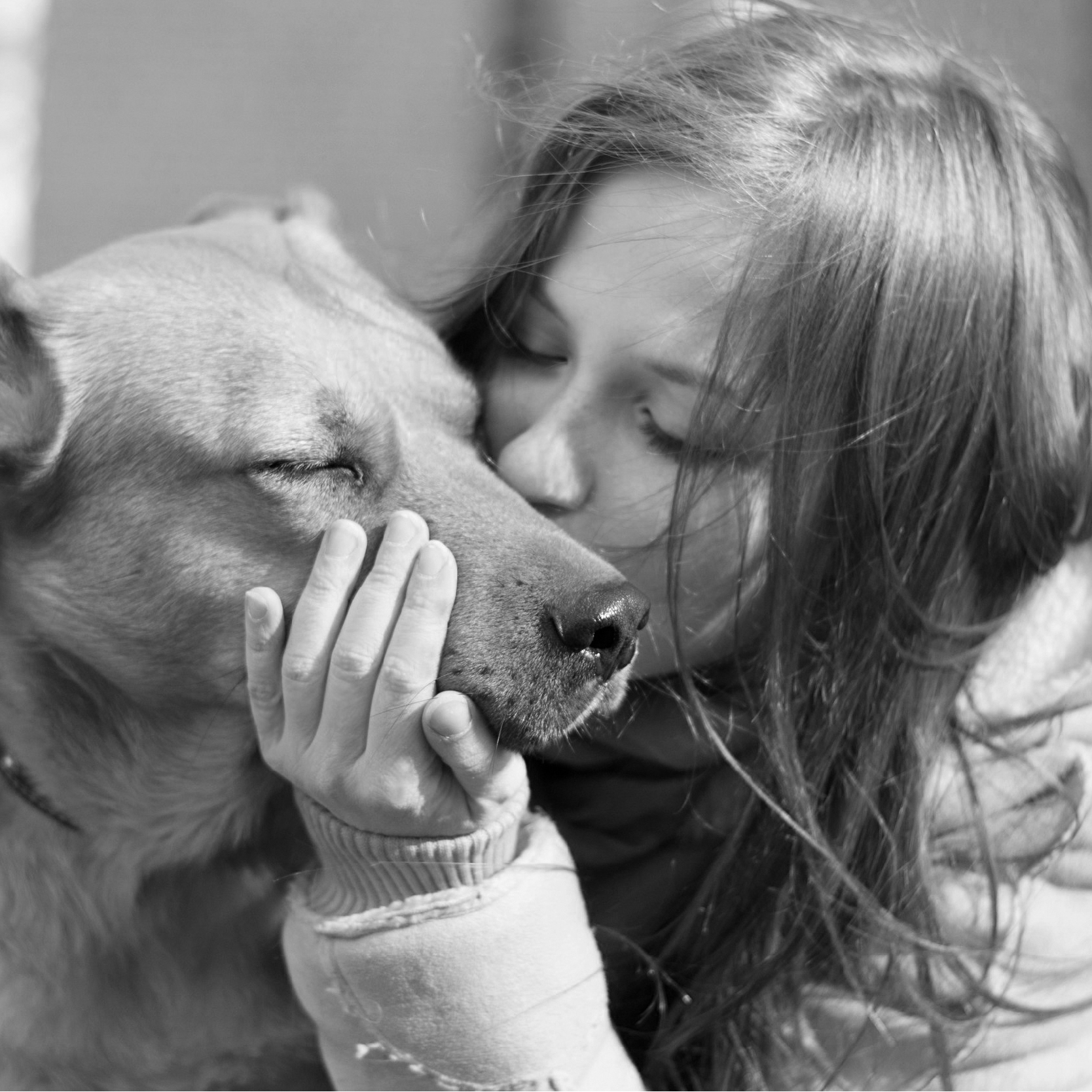 Inflation Nation Pet Market Sees Prices Climbing Sales Dropping 