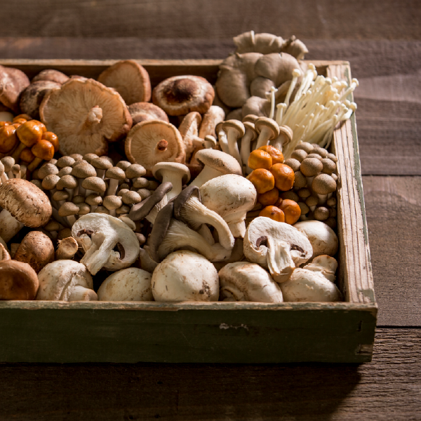 Mushrooms are a food trend in 2023.