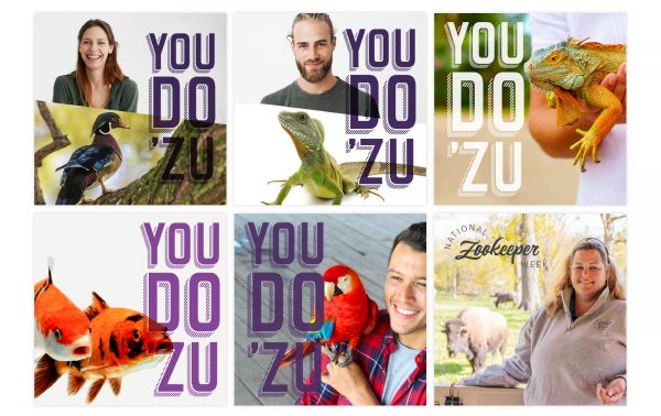 Six social post images used on Mazuri social channels.