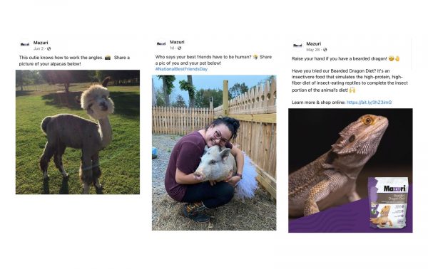 Screenshots of three social post images.