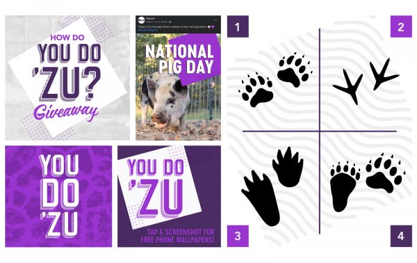 A collage of various images used for social posts on Mazuri social media channels