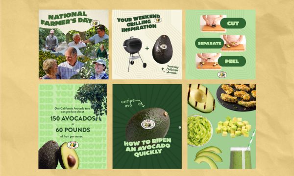 California Avocado Social
